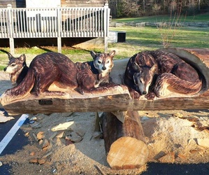 Beautify a Block of Wood: Amazing Sculptures