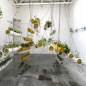 Between-air-installation-by-selgascano-s
