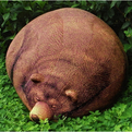 Big-sleeping-grizzly-bear-bean-bag-s