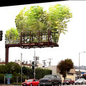 Billboards-converted-into-bamboo-gardens-s