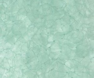 Bio-glass-from-coverings-etc-m