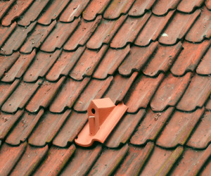 Birdhouse-roof-tile-by-klaas-kuiken-m