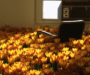 Bloom-flower-installation-by-anna-schuleit-m