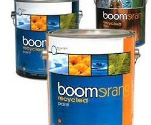 Boomerang Recycled Paint