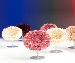 Bouquet Chair for Moroso