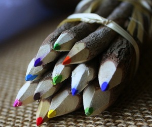 Branch-and-twig-assorted-colored-pencils-m