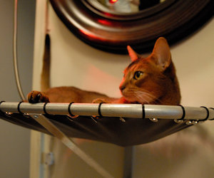 Brat-cat-designs-hammock-cat-bed-m