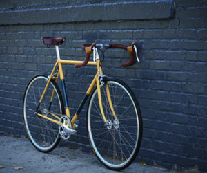 Brookyln-horse-cycles-m