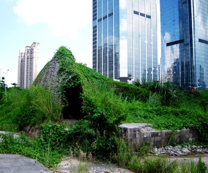 Bug-dome-by-weak-in-shenzhen-m