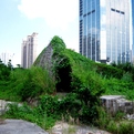 Bug-dome-by-weak-in-shenzhen-s