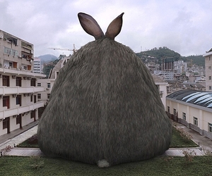 Bunny-trail-photography-by-di-liu-m