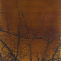 Burnt-veneer-w-french-polish-by-kolectiv-2-s