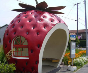 Bus-stand-designs-based-on-fruit-theme-m