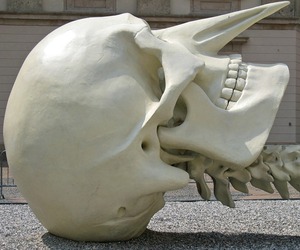 Calamita Cosmica by Gino De Dominicis 