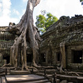 Cambodian-temple-of-ta-prohm-s