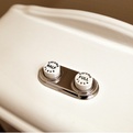 Caroma-dual-flush-colonial-toilet-s