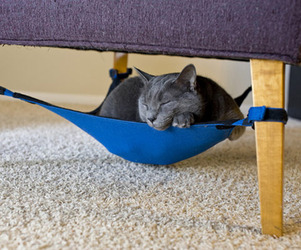 Cat-hammock-m