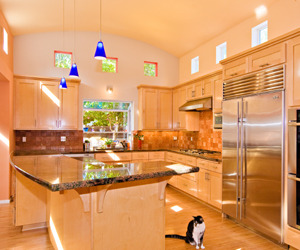 Cat-likes-new-kitchen-barrel-ceiling-clerestory-windows-m