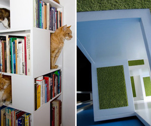 Catcase-by-urban-cat-design-m