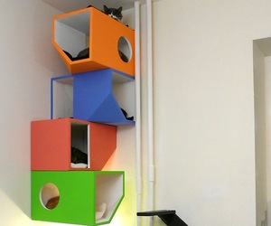 Catissa-cat-house-by-mojorno-m