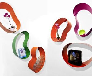 Cells-on-the-walls-of-your-living-room-m