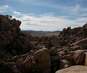 Cheap-and-chic-joshua-tree-vacation-rental-m