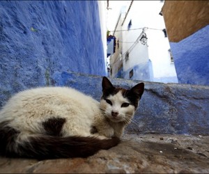 Chefchouen-the-blue-city-of-morocco-m