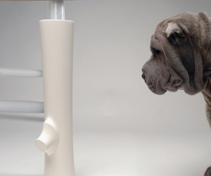 Chew-leg-cover-dog-toy-m