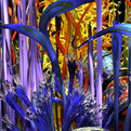 Chihuly-collection-designed-by-alberto-alfonso-aia-3-s