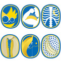 Chiquita-brand-sticker-design-contest-and-history-s