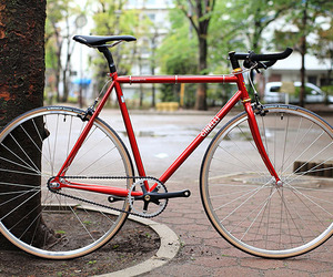 Cinelli-gazzetta-m