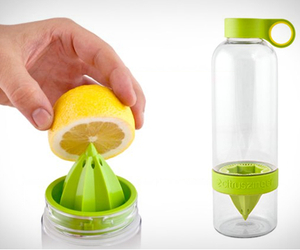 Citrus-zinger-m