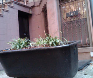 Claw-foot-tub-garden-in-brooklyn-m