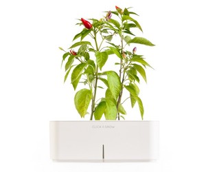 Click-and-grow-electronic-flowerpots-m