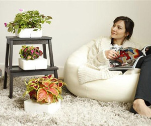 Click-and-grow-planters-m
