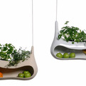Cocoon-designed-by-salomonsen-s