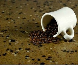 Coffee-bean-recycled-paper-countertop-m