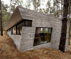 Concrete-forest-home-by-bak-arquitectos-m