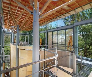 Contemporary-cape-town-tree-house-m
