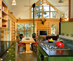 Contemporary-colorado-log-cabin-m