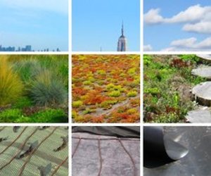 Convert-is-a-nyc-based-green-roof-service-and-the-site-was-designed-by-swissmiss-m