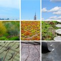 Convert-is-a-nyc-based-green-roof-service-and-the-site-was-designed-by-swissmiss-s