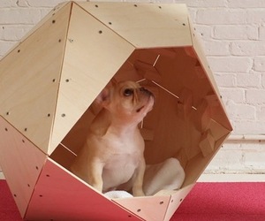 Cool-dog-house-designs-m