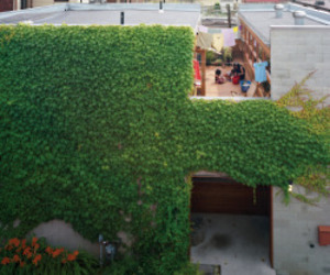 Courtyard House By Studio Junction