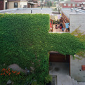 Courtyard-house-by-studio-junction-72-s