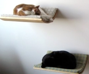 Curve wall-mounted cat beds by Akemi Tanaka