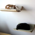 Curve-wall-mounted-cat-beds-by-akemi-tanaka-s