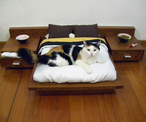 Custom-luxury-furniture-for-your-pets-m
