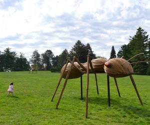 David-rogers-big-bugs-m