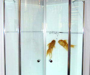 Digitally Printed Glass